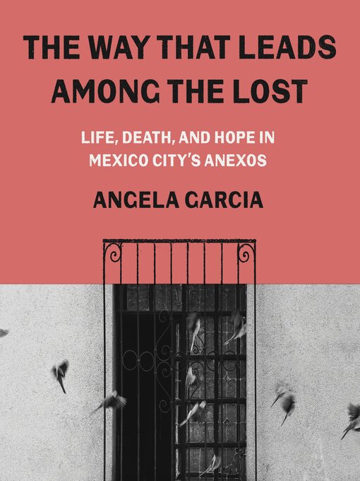 Title details for The Way That Leads Among the Lost by Angela Garcia - Wait list